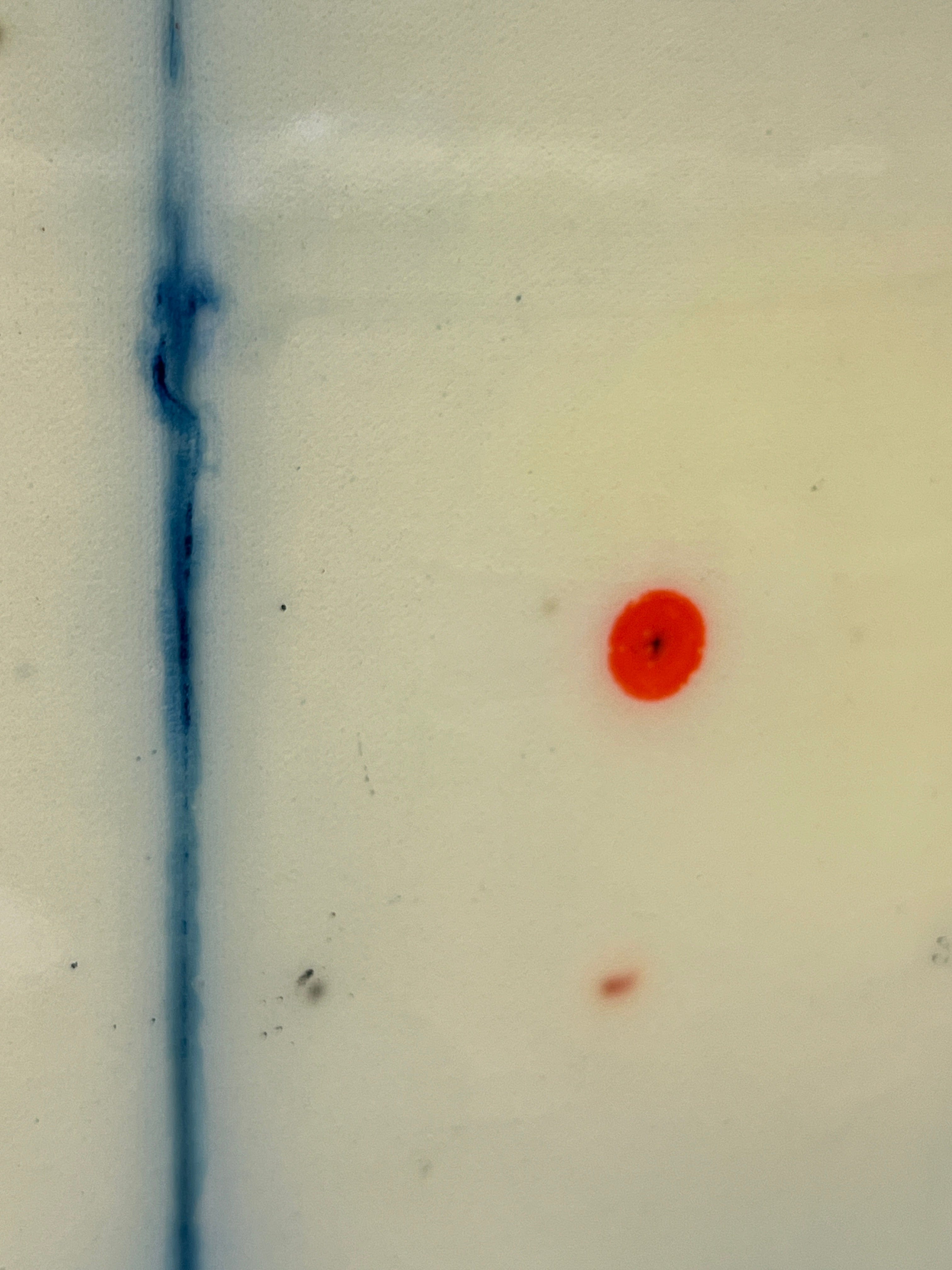 Robert Tillberg A Beacon | 36"x48"