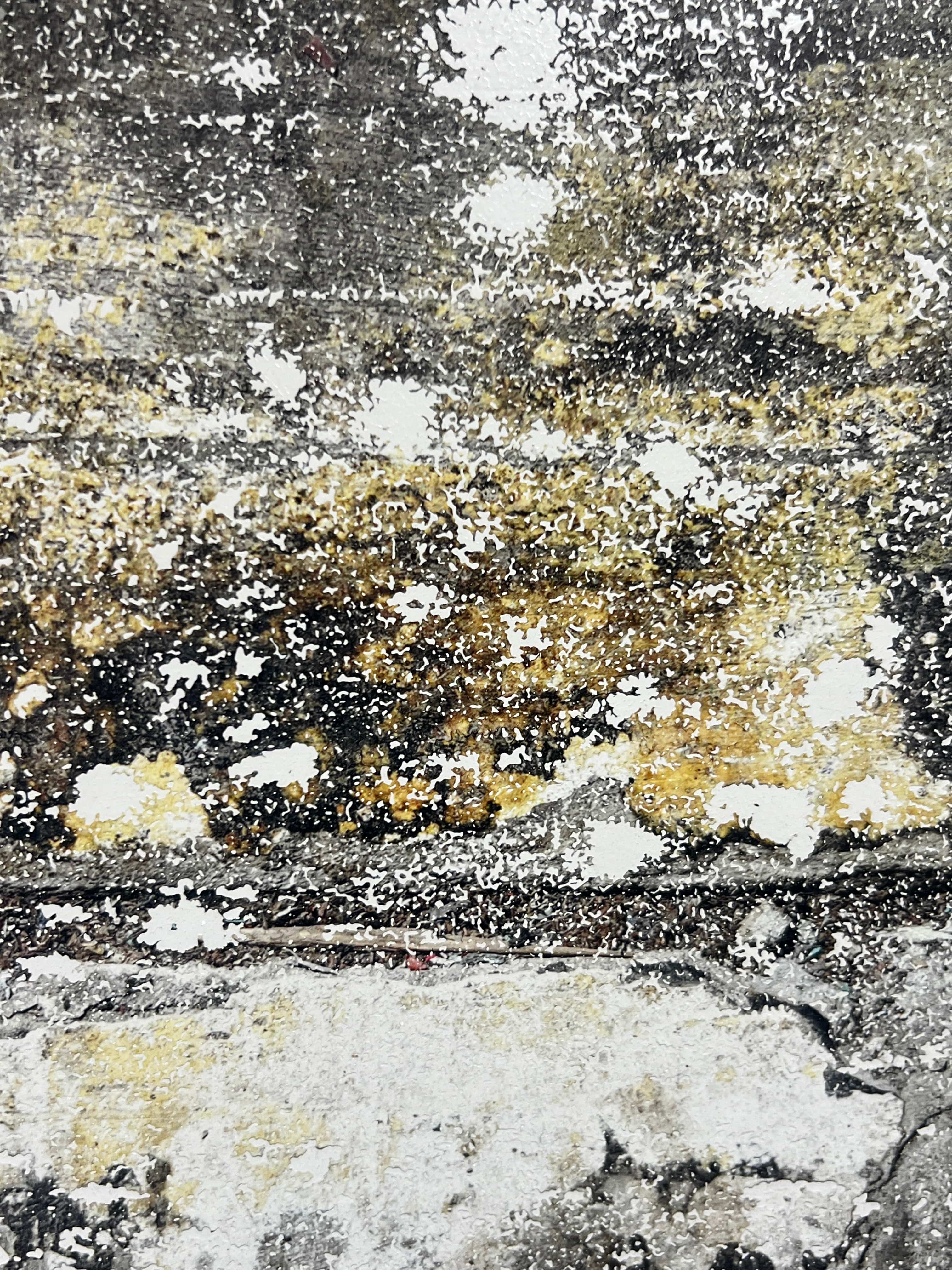 Robert Tillberg Mineral Field | 24"x30"