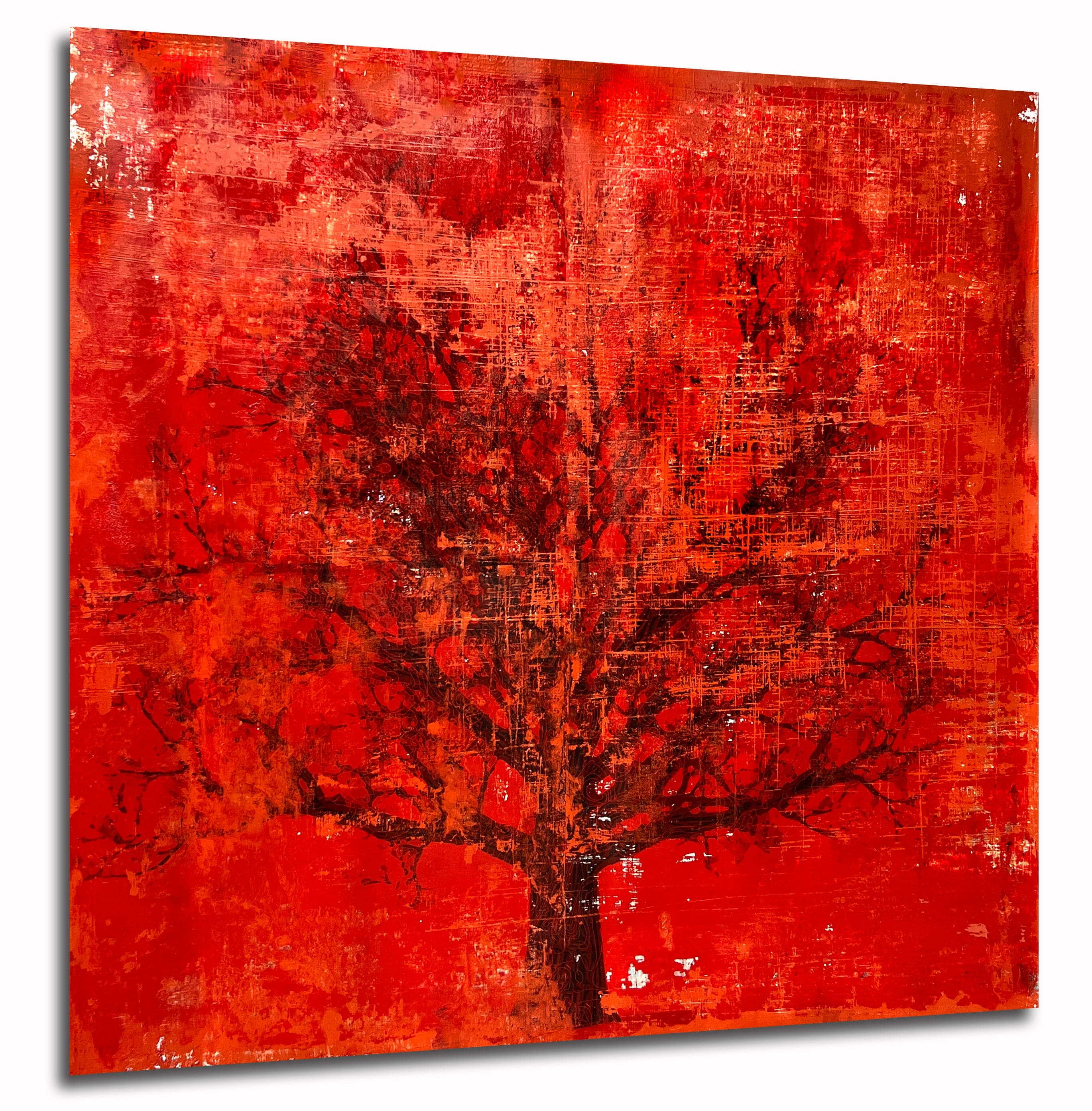 Robert Tillberg The Old Red Oak | 48"x48"