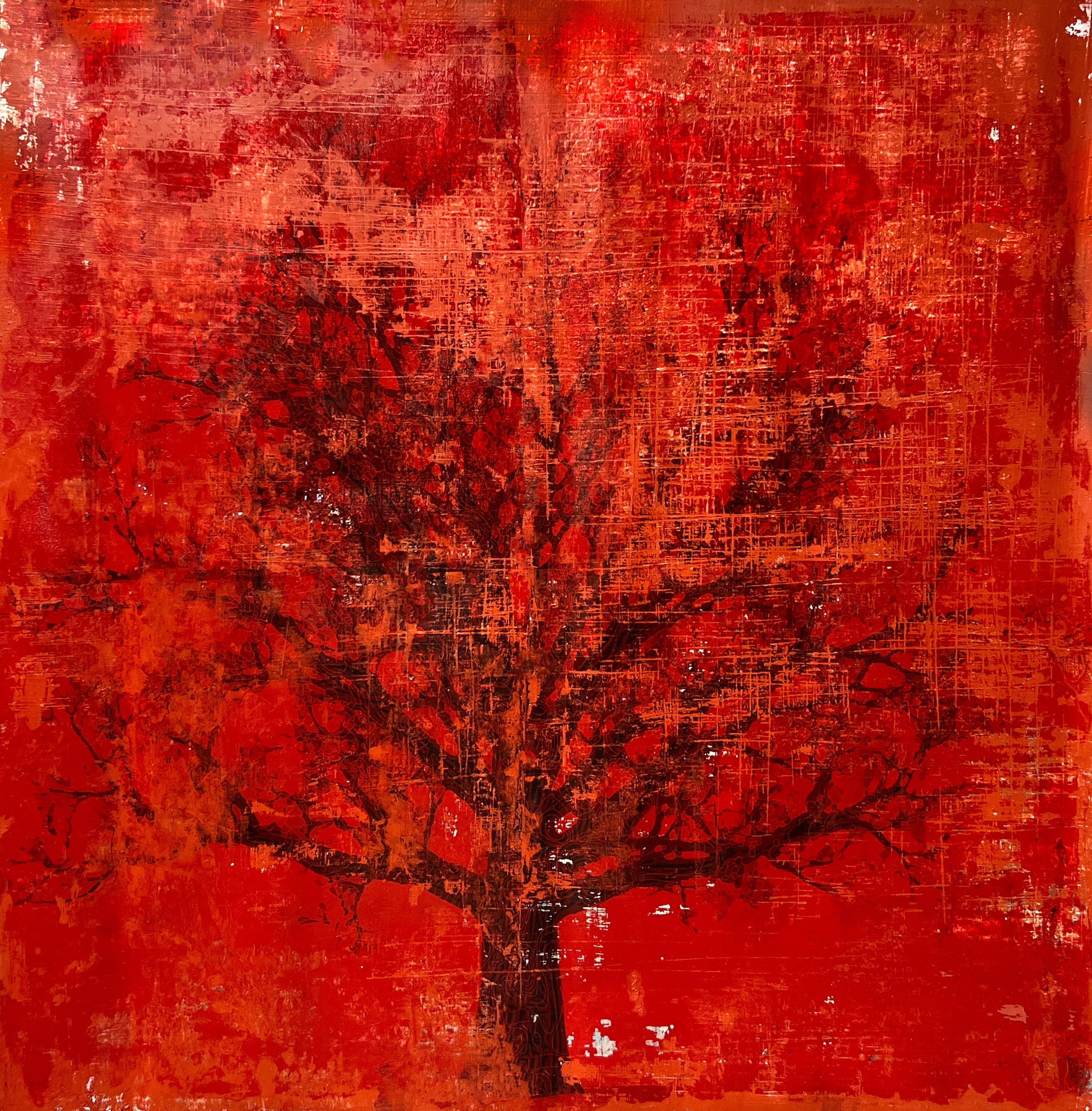 Robert Tillberg The Old Red Oak | 48"x48"