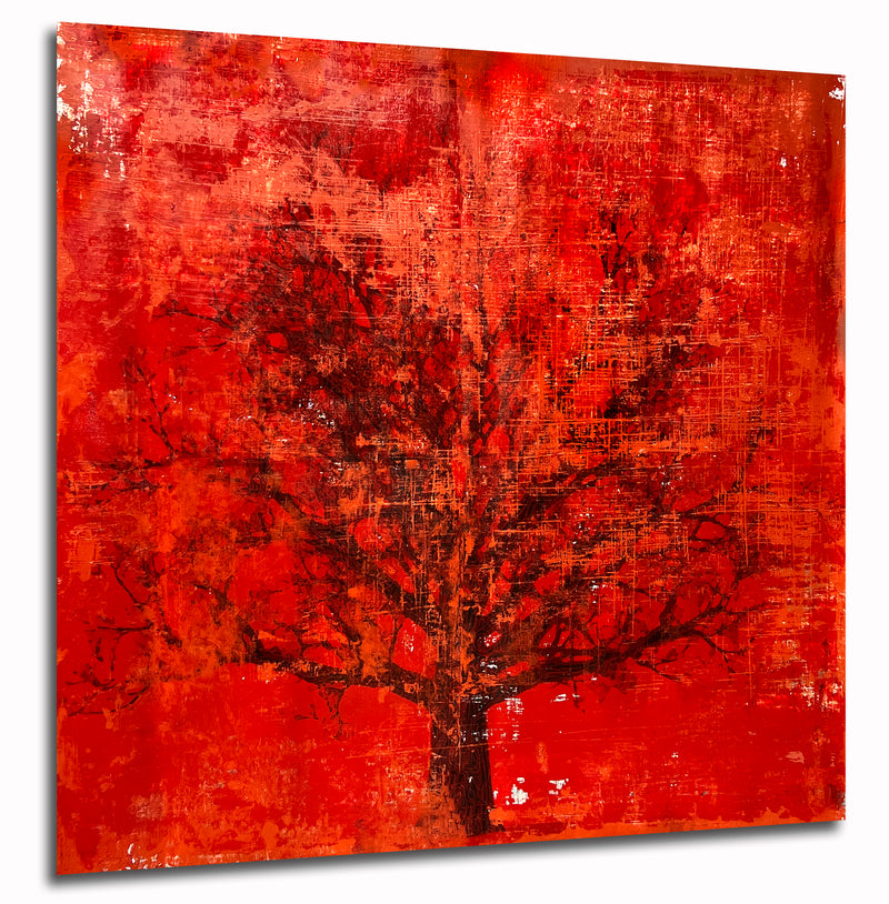 The Old Red Oak | 48"x48"