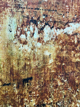 Robert Tillberg Rusty | 30"x40"