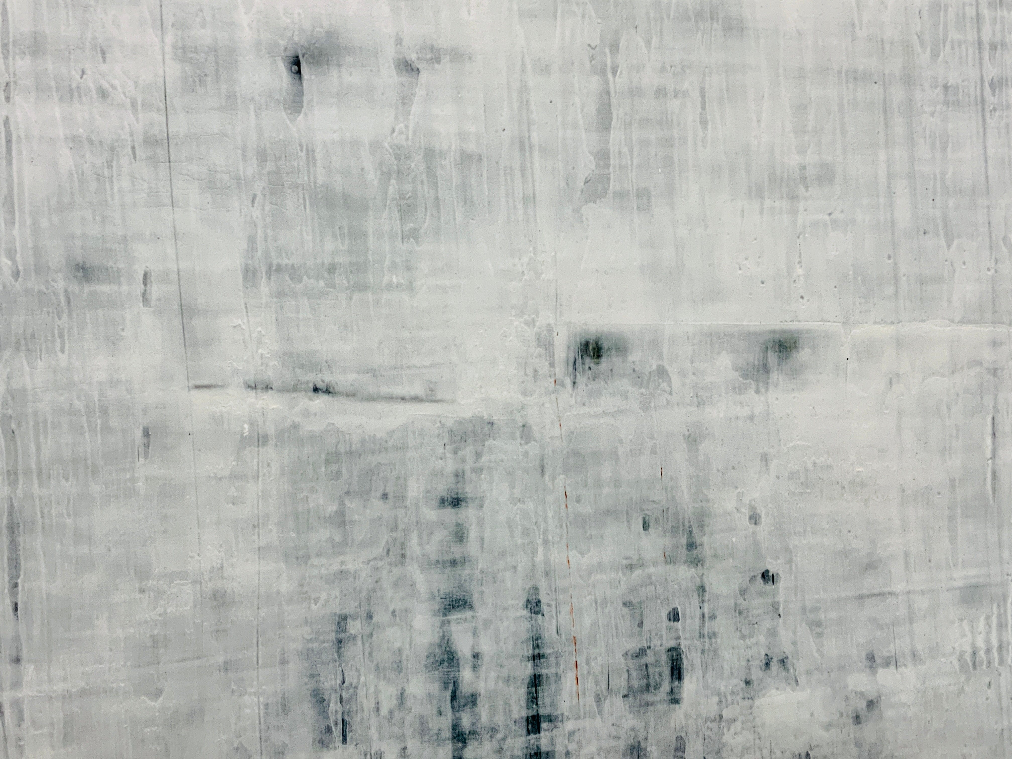 Robert Tillberg Frosted Forest | 48"x48"